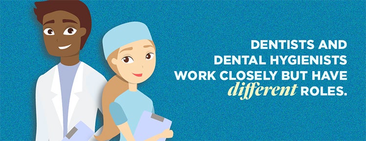 Dentists and Dental Hygienists work closely but have different roles.